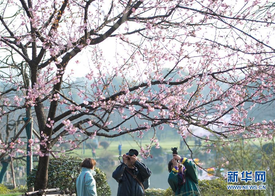 足协杯抽签结果：恒大战建业 国安对碰青岛