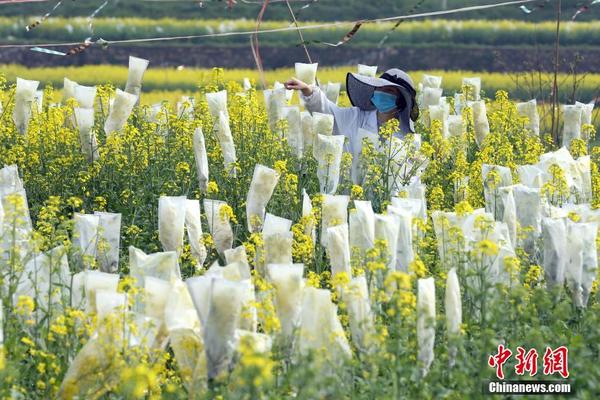 西媒：租借加买断选项，贝蒂斯方面下周派人和曼联协商安东尼转会